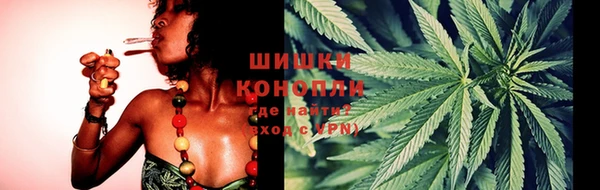 сатива Гусев