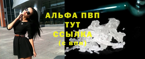 сатива Гусев