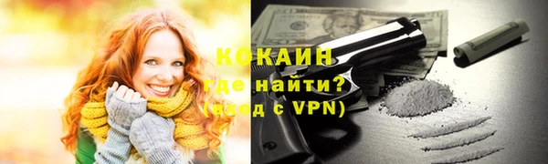 сатива Гусев