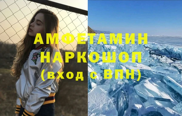 сатива Гусев