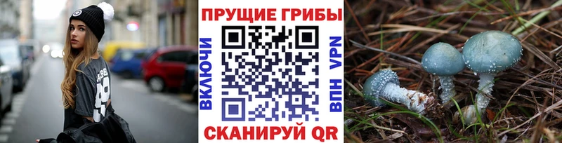 Галлюциногенные грибы мухоморы  Верхняя Тура 